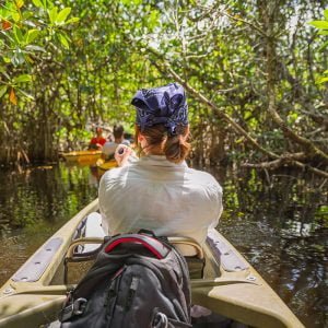 ¿Que hacer en Iquitos?